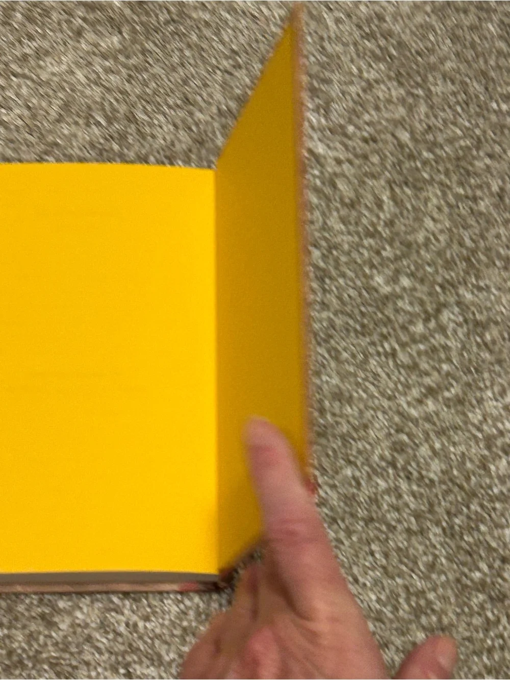 Amulet Books see pics